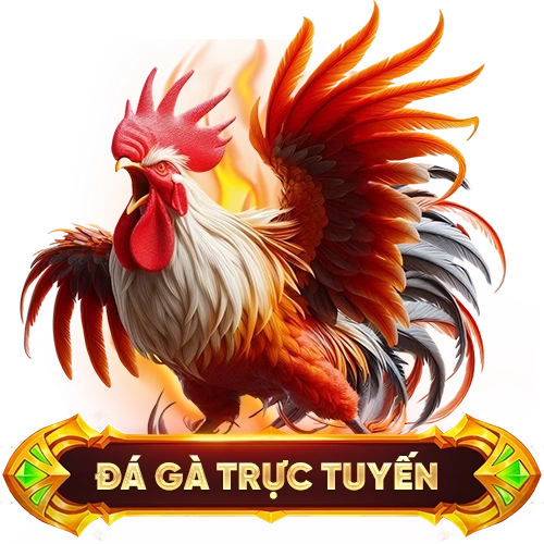 đá gà trực tuyến TA88